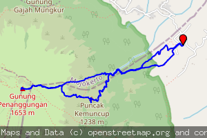 Penanggungan-Kemuncup via Kunjorowesi (jalur rapat kemuncup-puncak) @pickmif