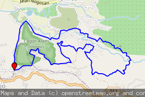 Imogiri Forest 9K by Blusukan Runners